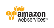 Amazon Web Service ( AWS )